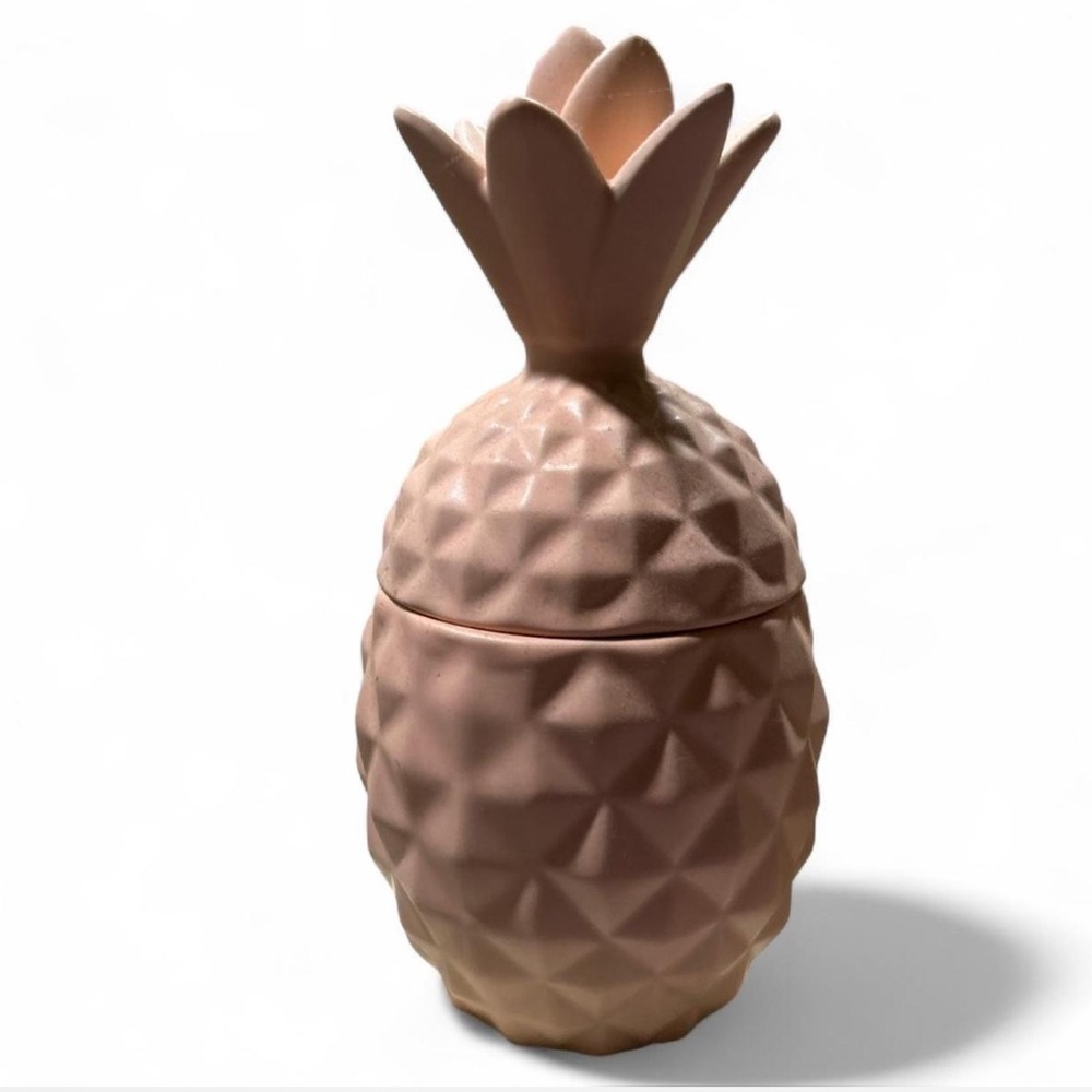 Nordstrom Pink Pineapple Ceramic Decor🍍🍍